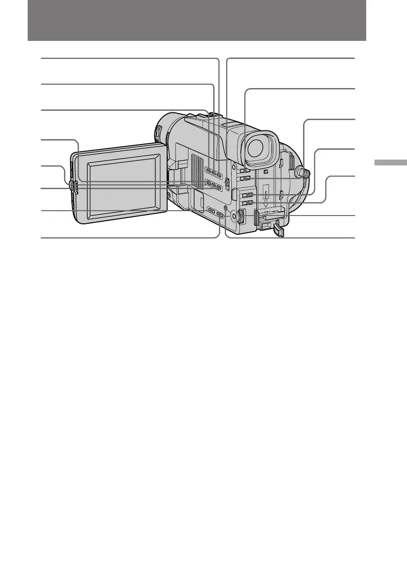 Page #101 background image