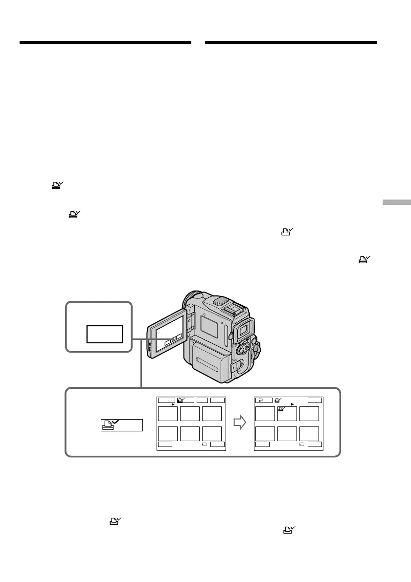Page #211 background image