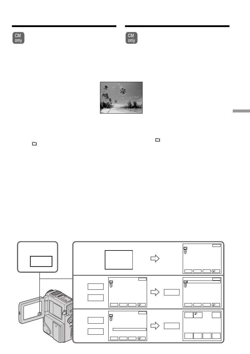 Page #79 background image