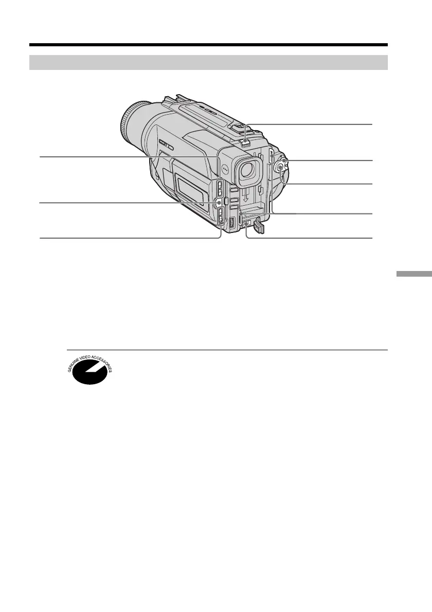 Page #123 background image
