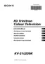 Preview: Instruction Manual