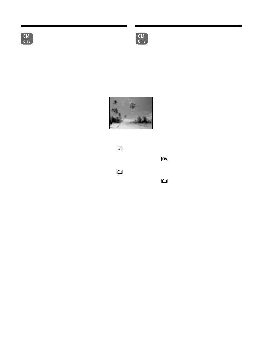 Page #44 background image