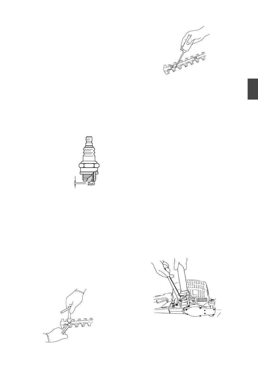 Page #31 background image
