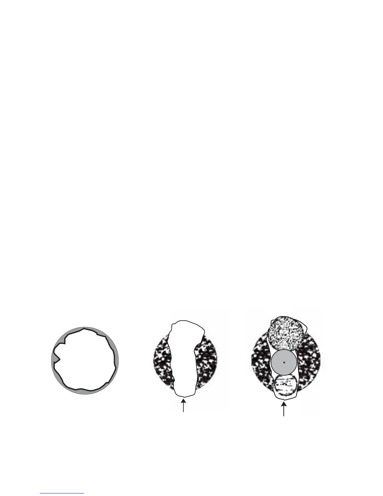 Page #119 background image