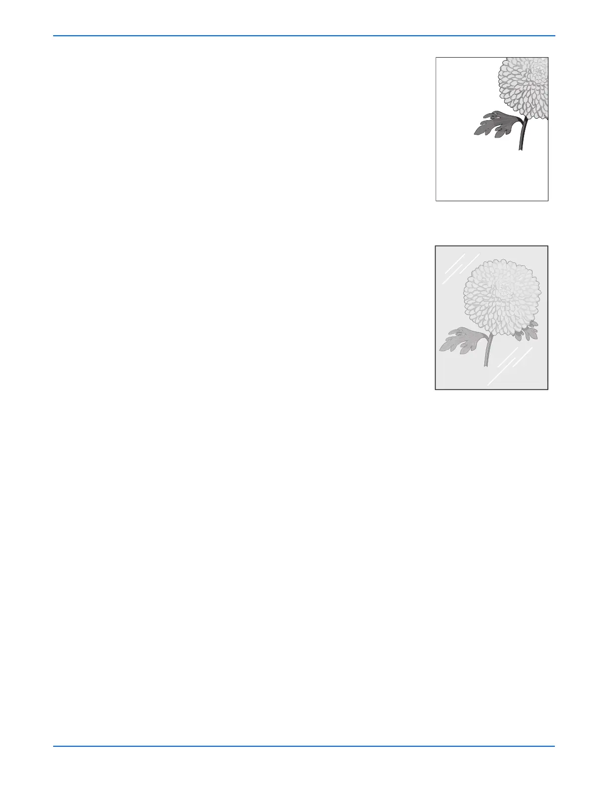 Page #166 background image