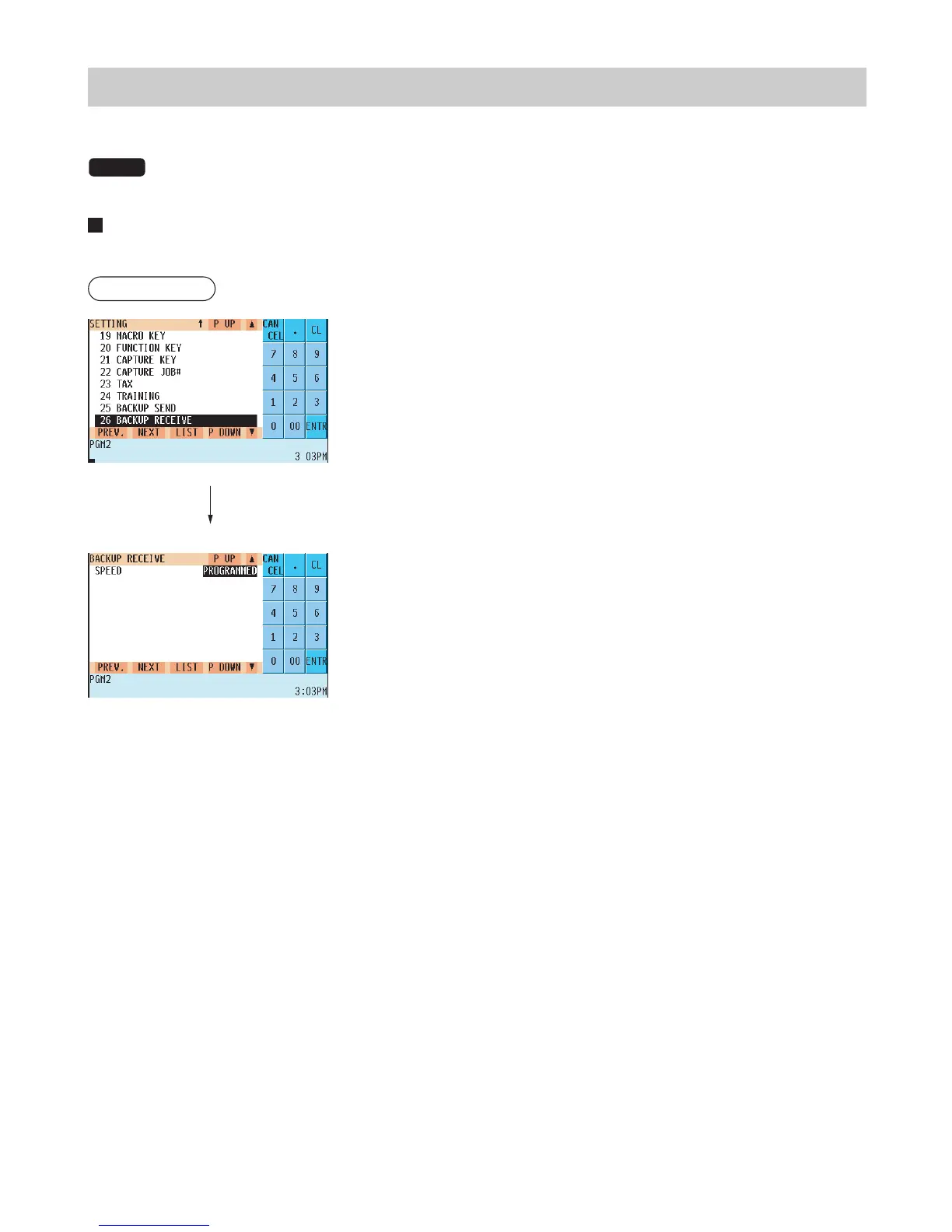 Page #243 background image