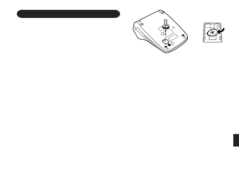 Page #107 background image