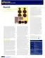 Preview: Brochure