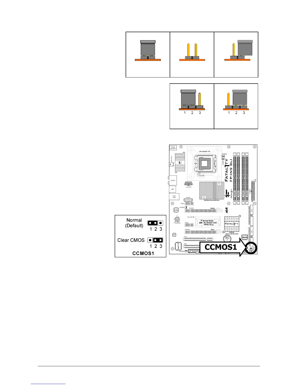 Page #10 background image