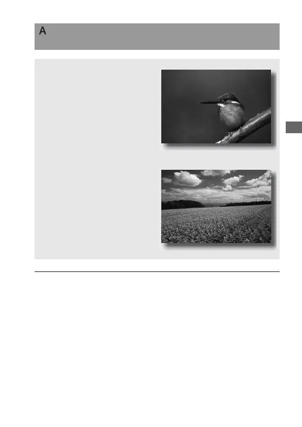 Page #59 background image