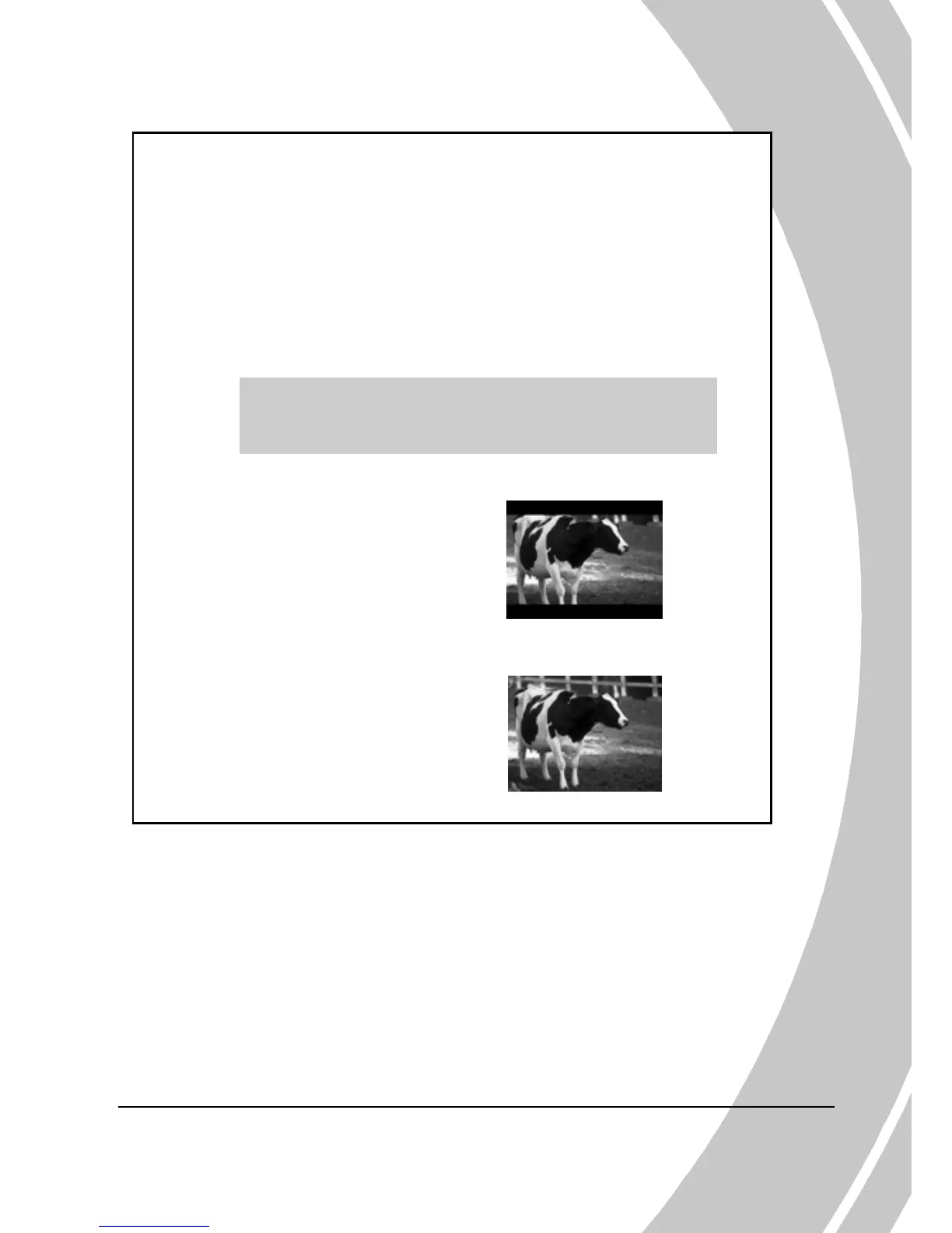 Page #29 background image