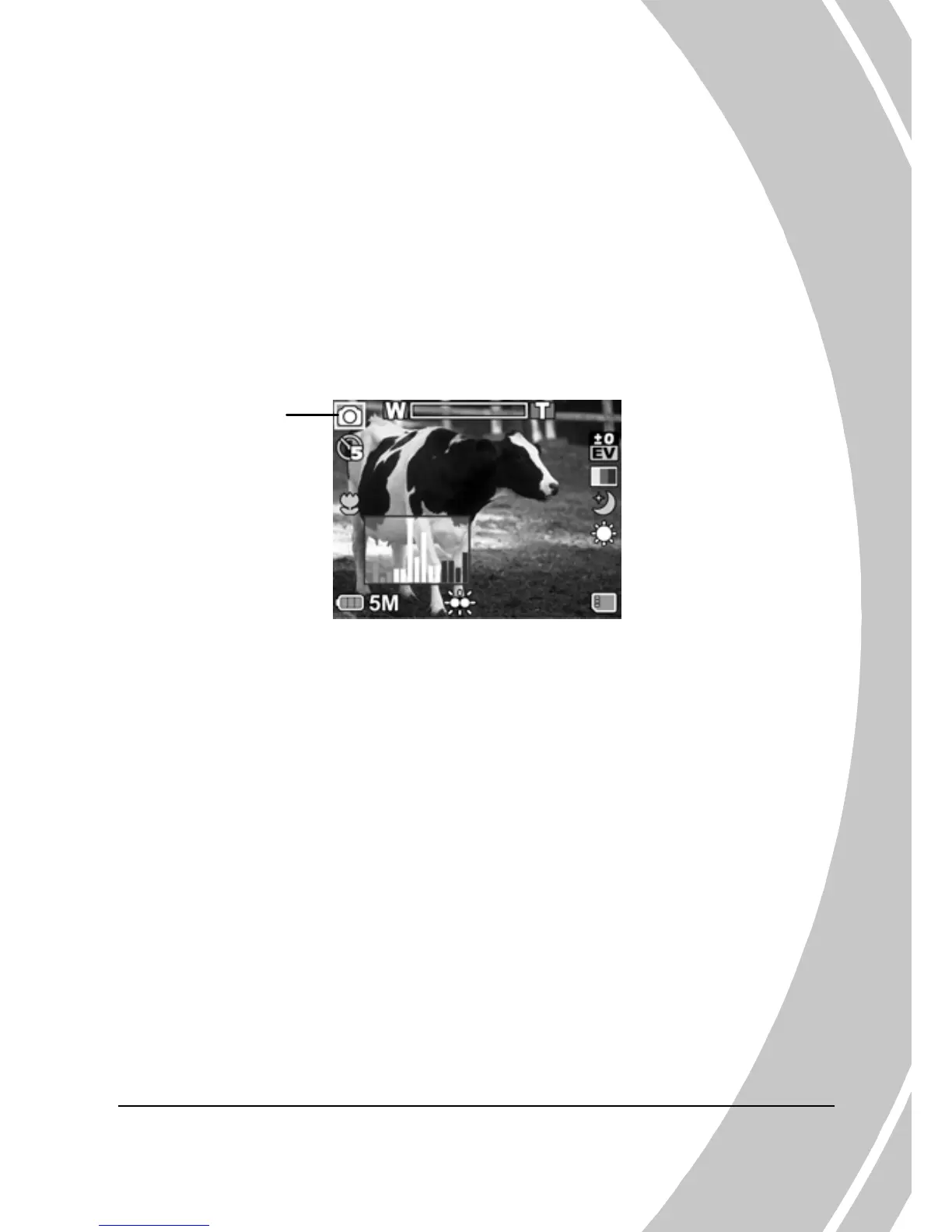Page #31 background image