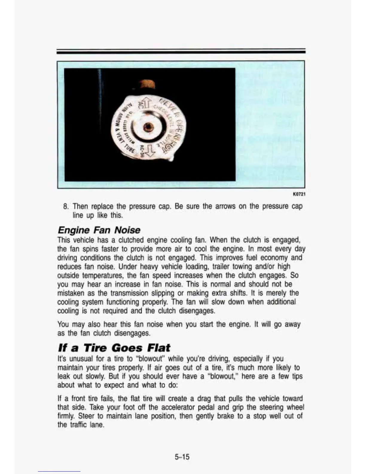 Page #231 background image