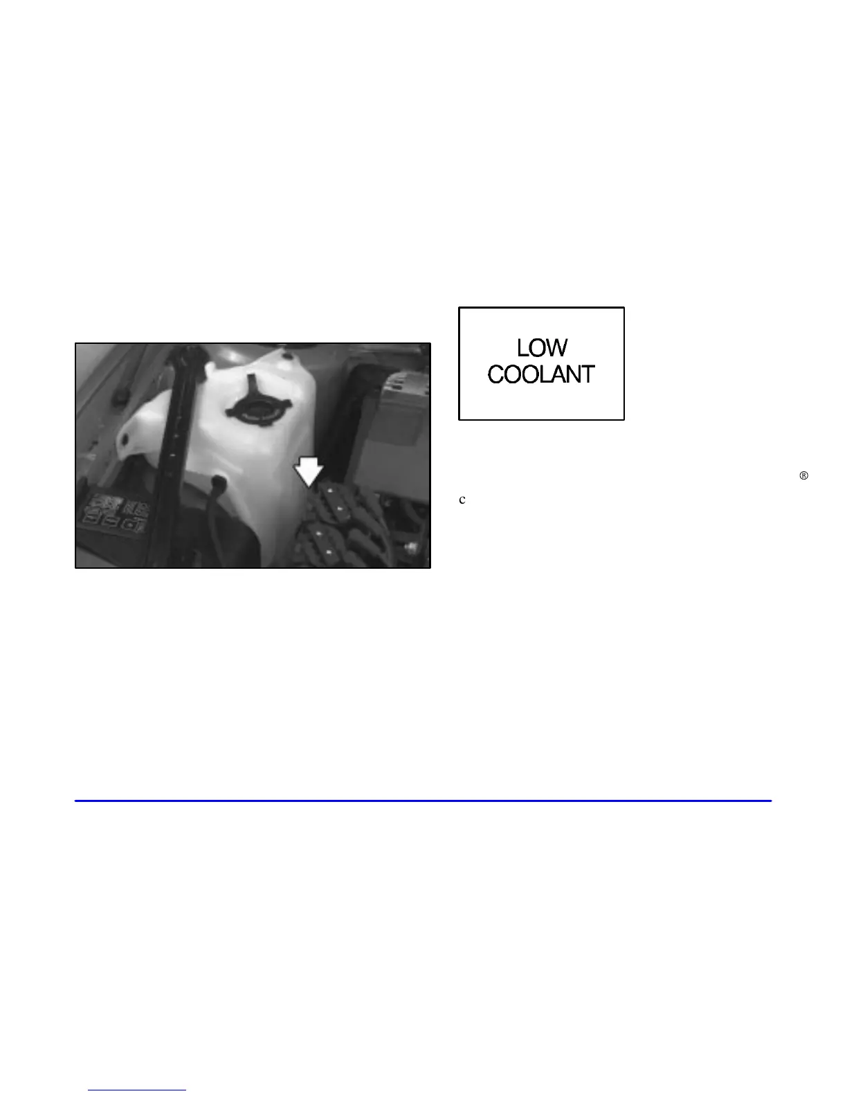 Page #245 background image