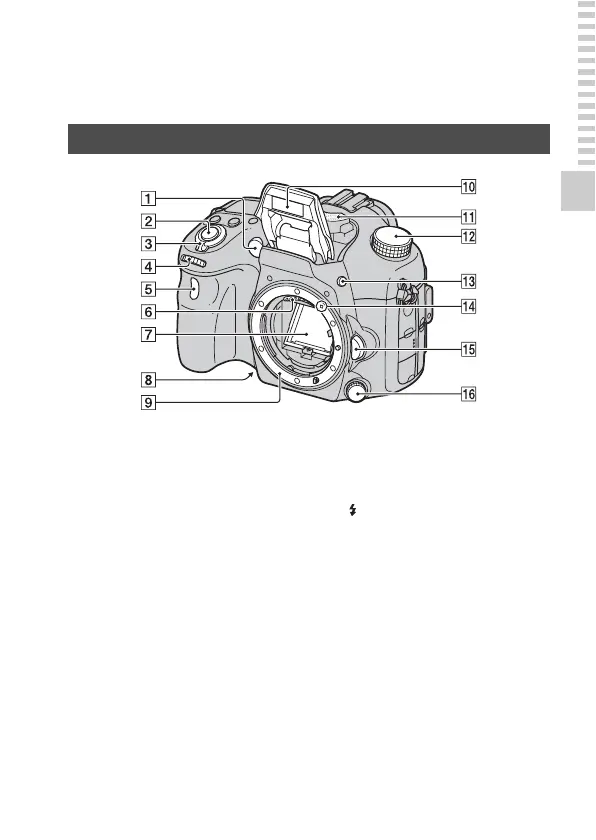 Page #19 background image