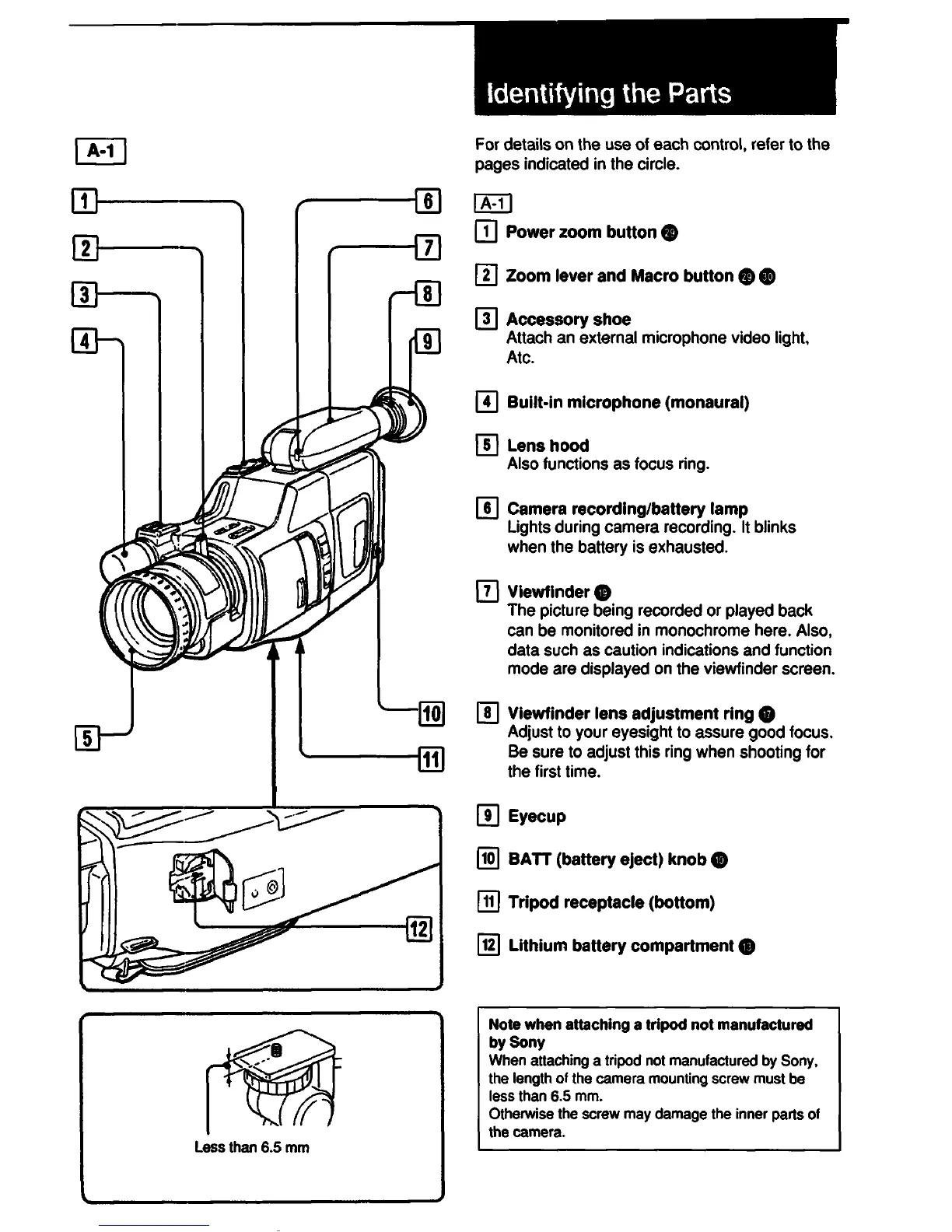 Page #5 background image