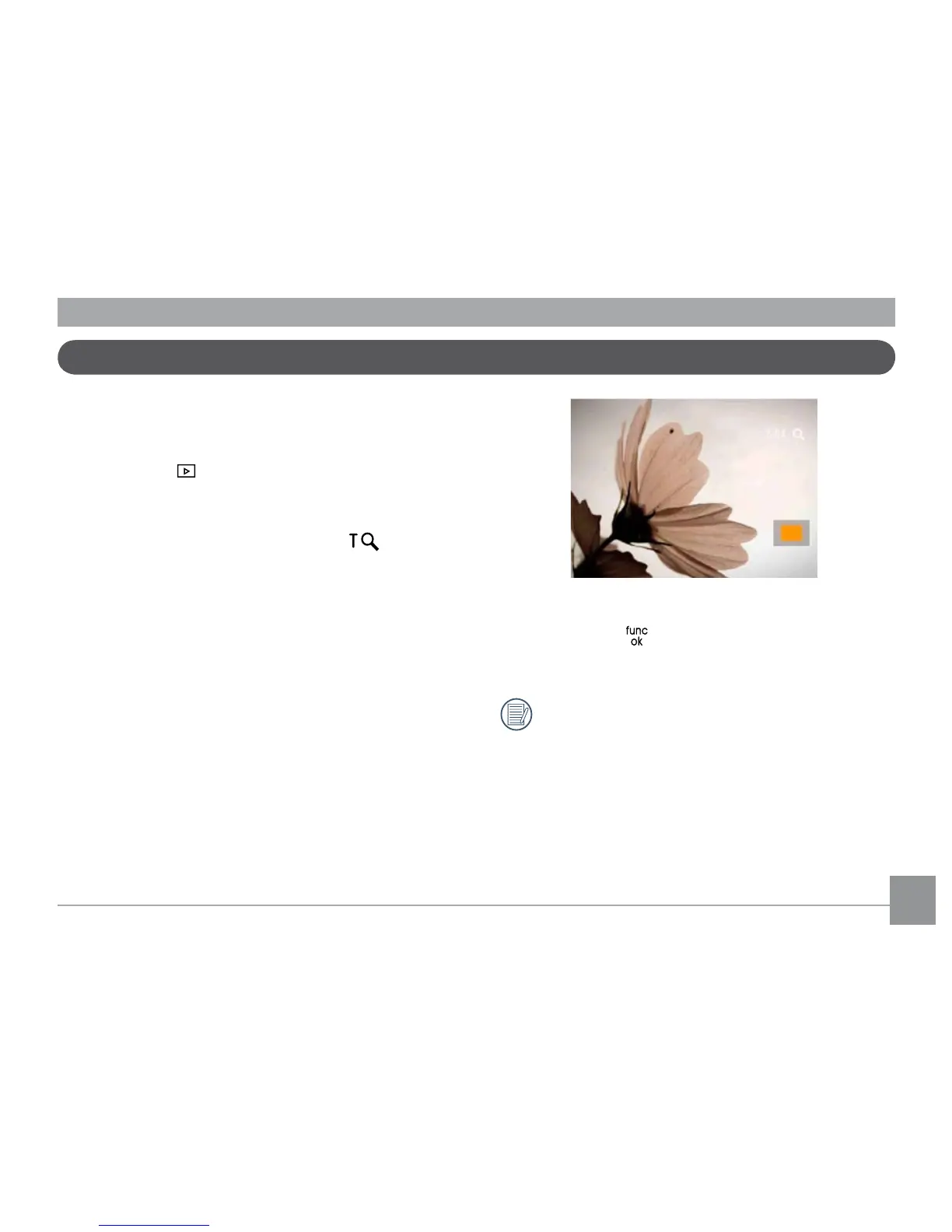 Page #42 background image