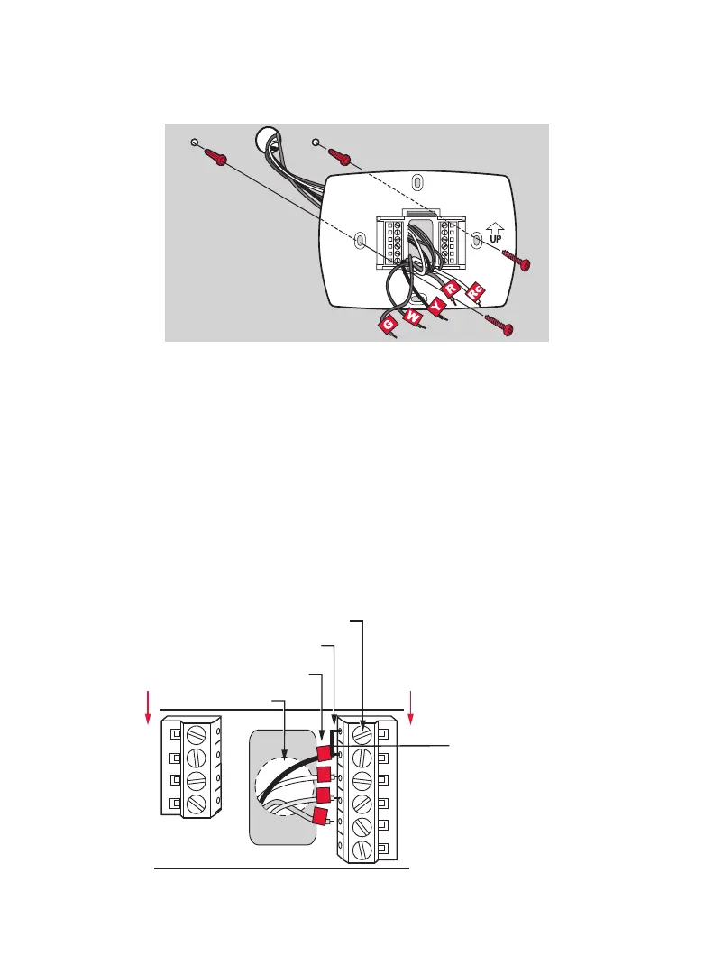 Page #5 background image