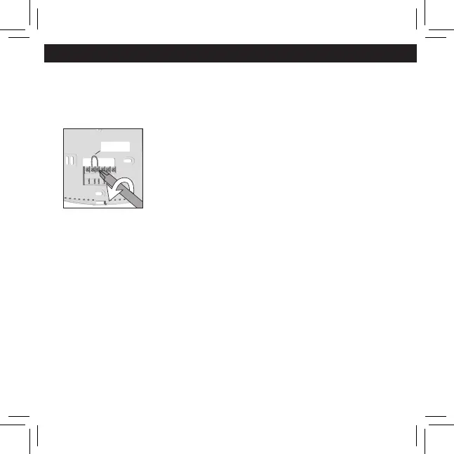 Page #17 background image