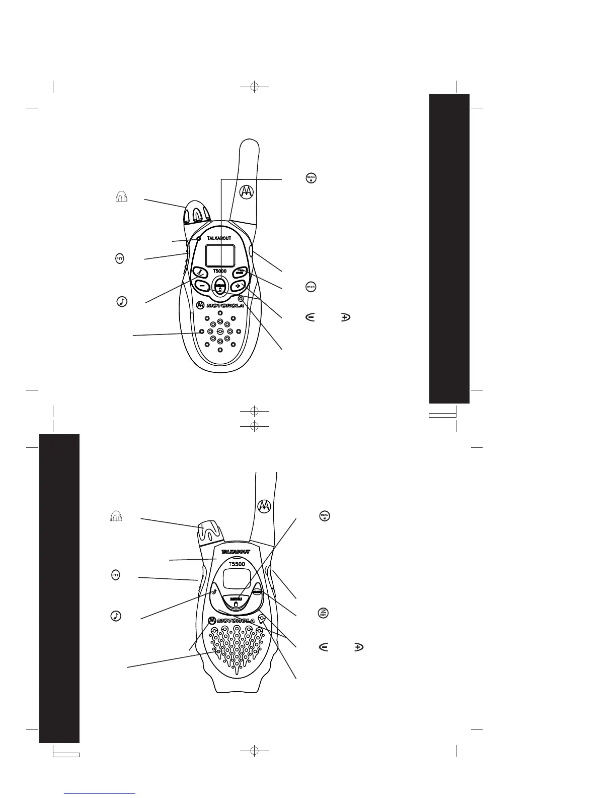 Page #6 background image