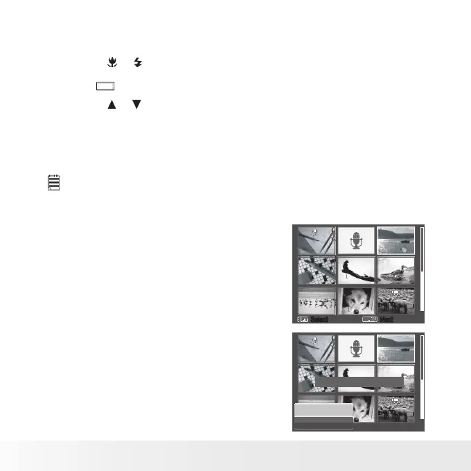 Page #62 background image
