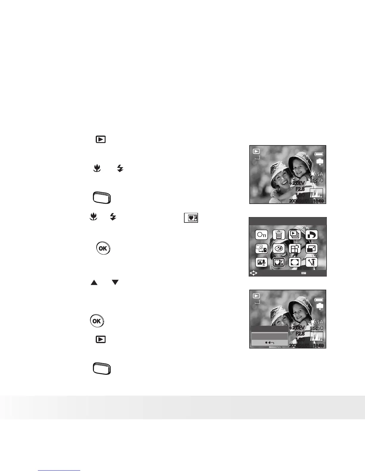 Page #26 background image