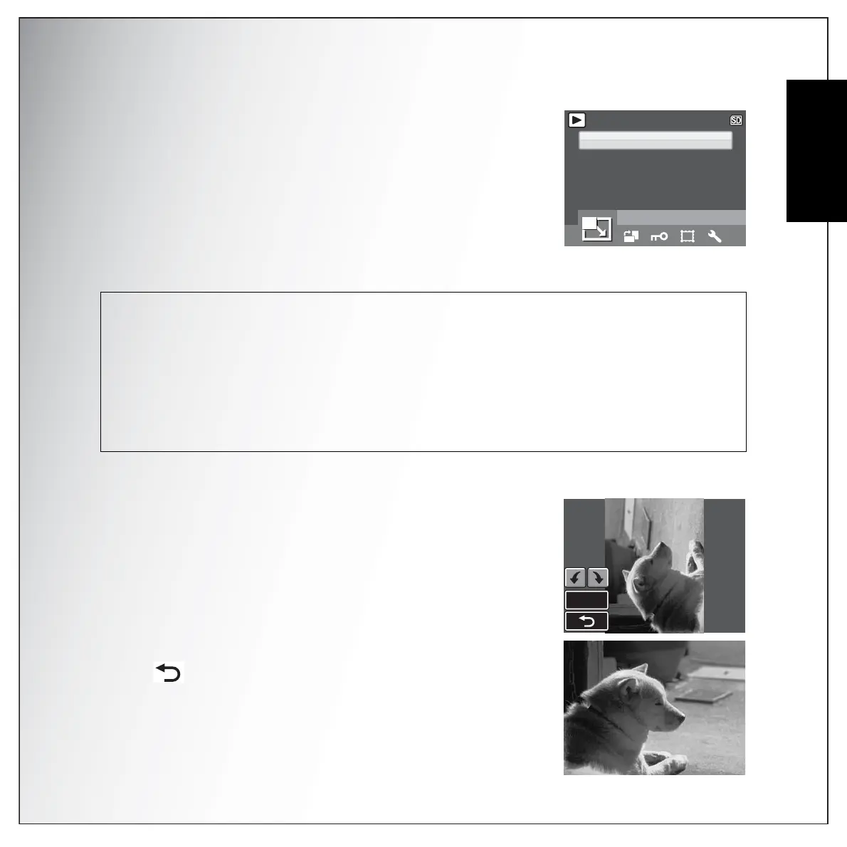 Page #49 background image