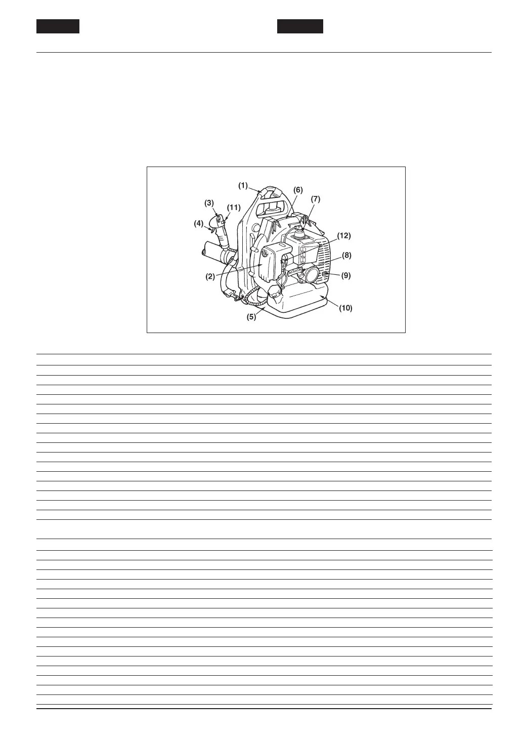 Page #10 background image