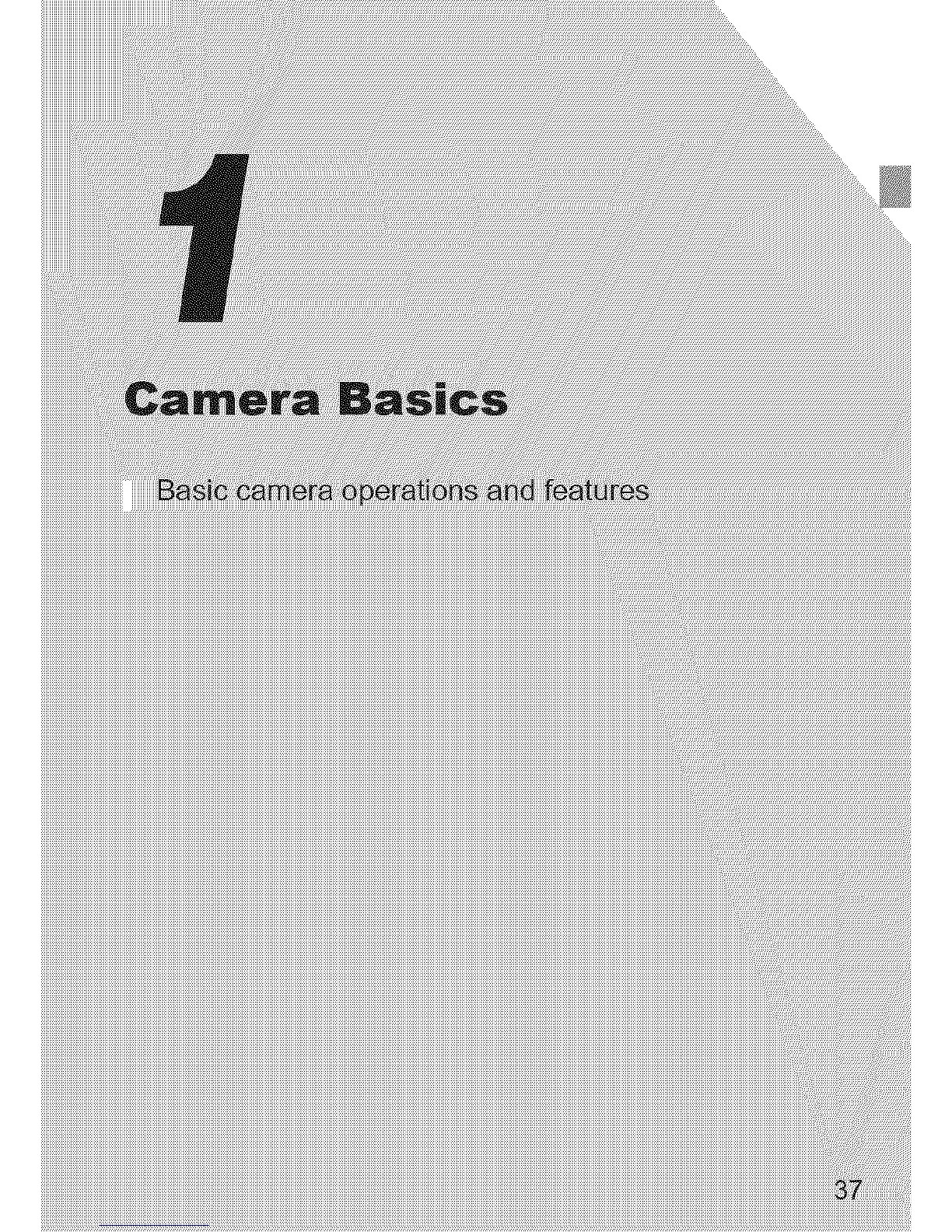 Page #37 background image