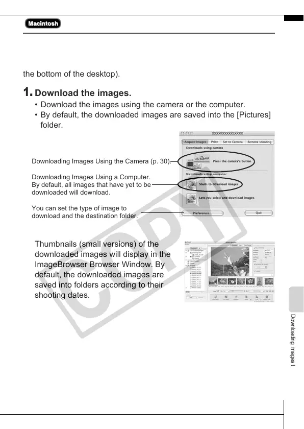 Page #31 background image