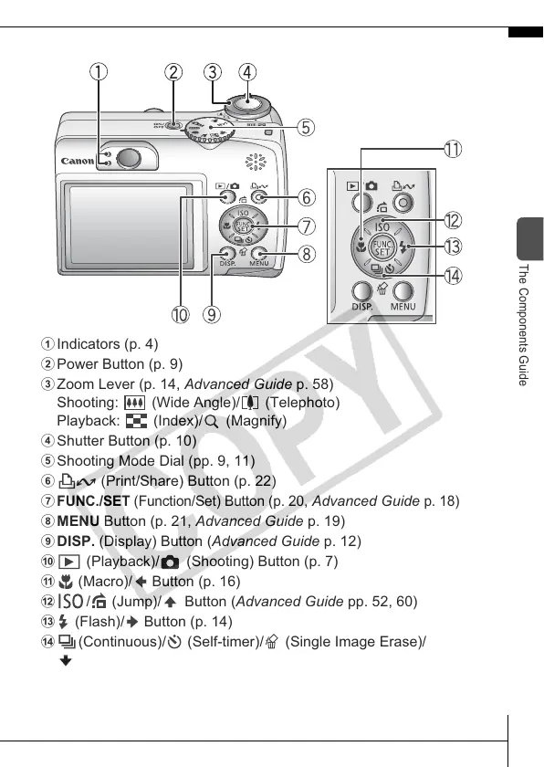 Page #5 background image