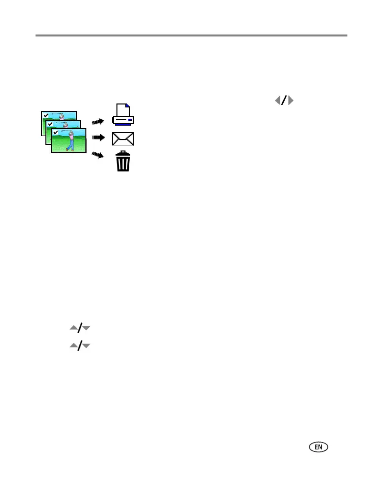 Page #31 background image