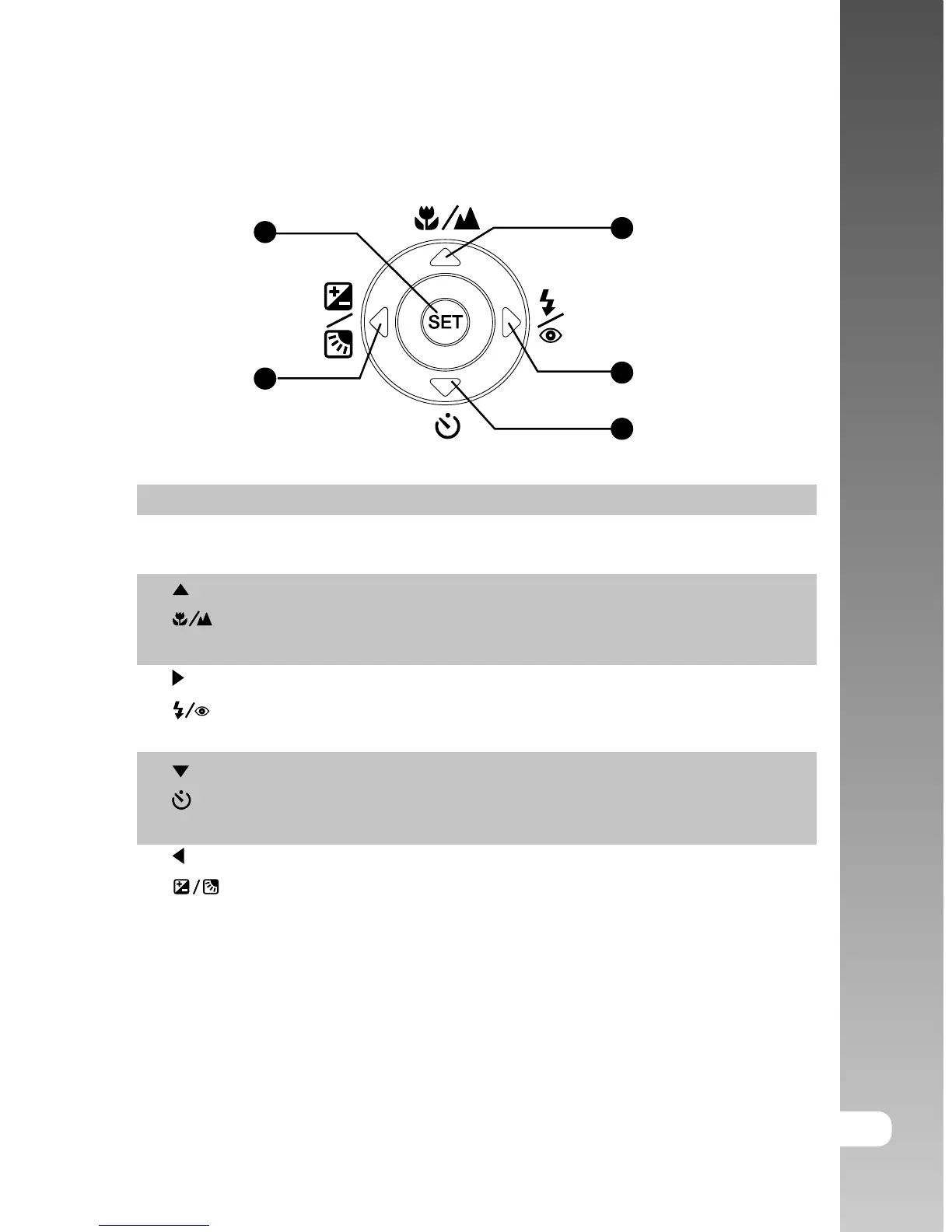 Page #13 background image