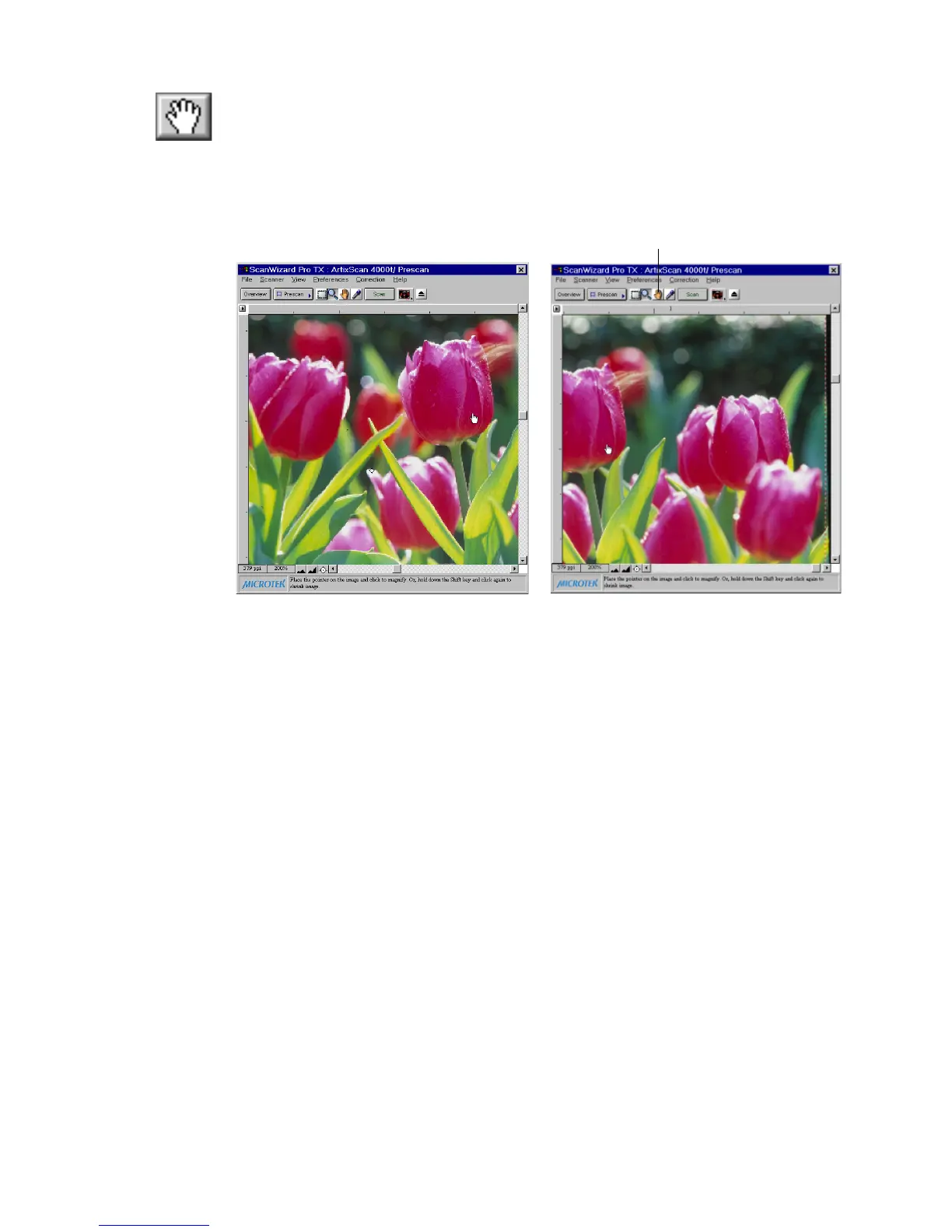Page #49 background image