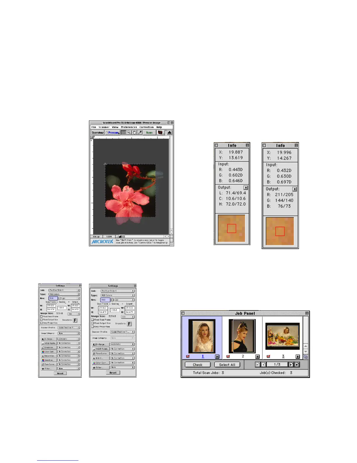 Page #11 background image