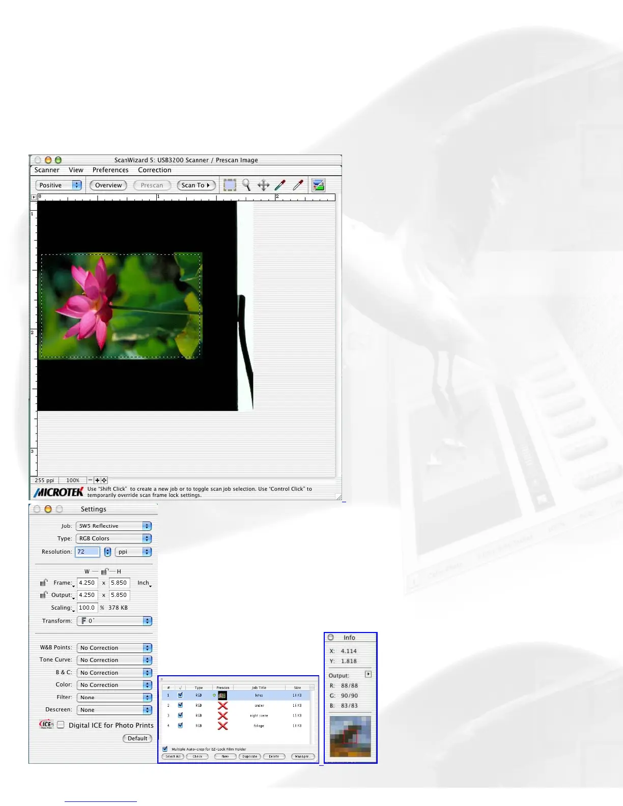 Page #19 background image