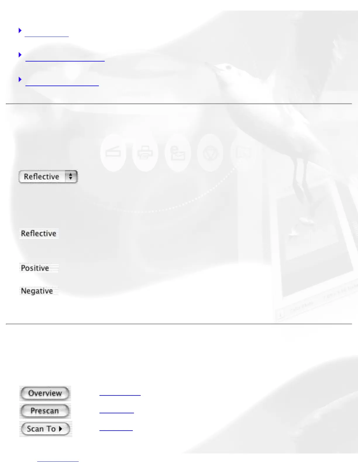 Page #24 background image