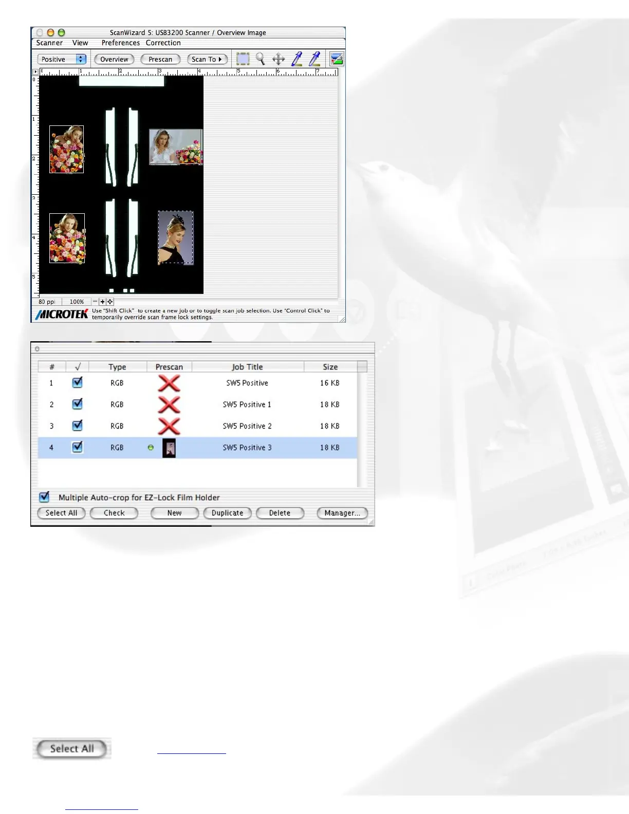 Page #45 background image