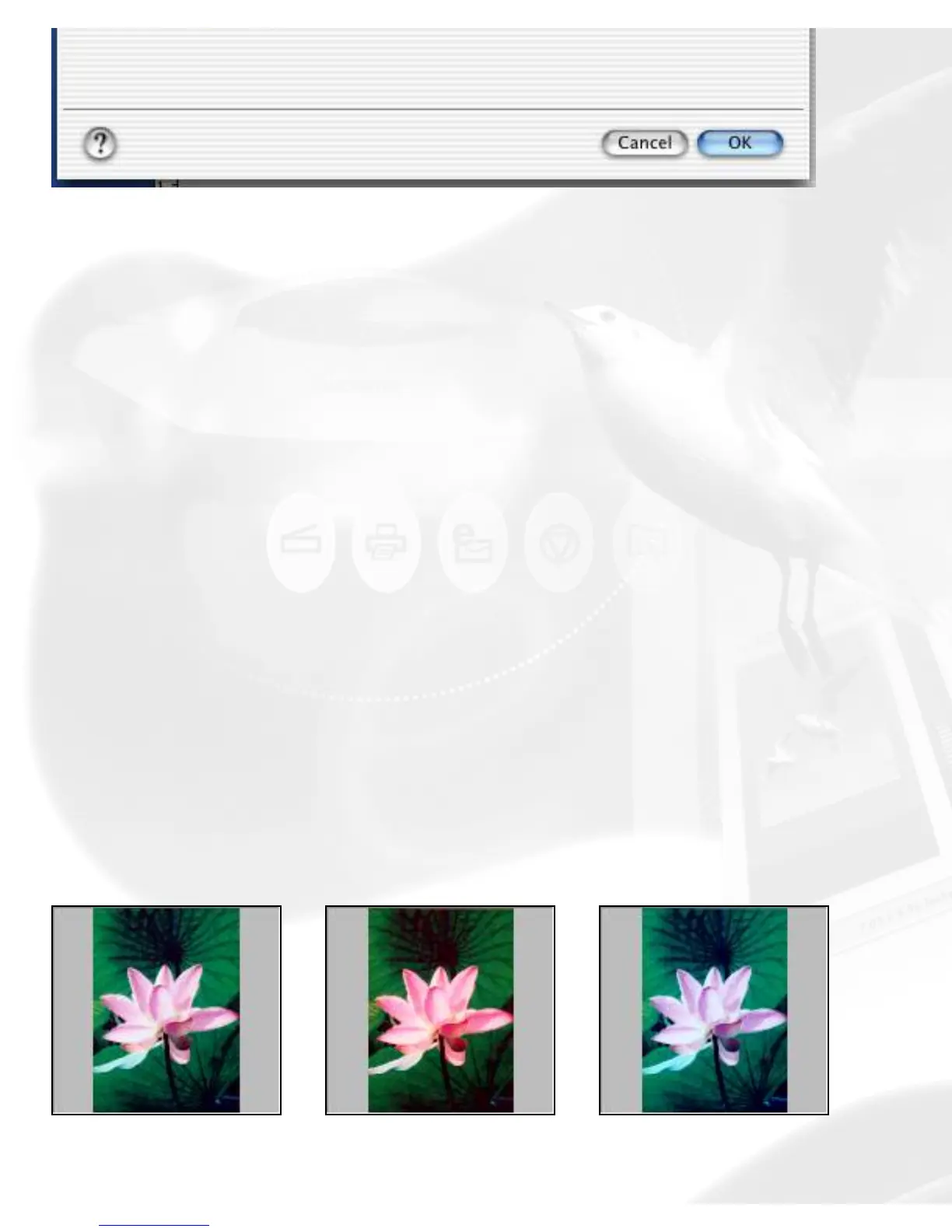 Page #66 background image