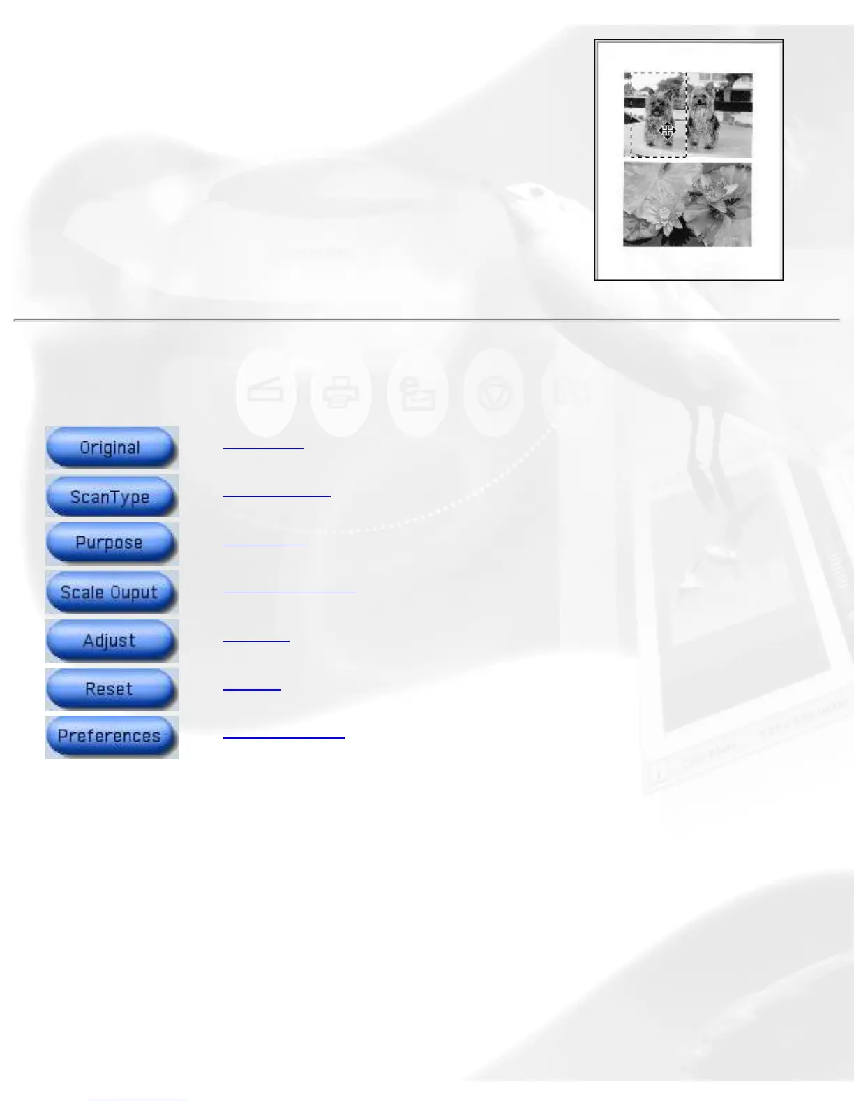 Page #11 background image