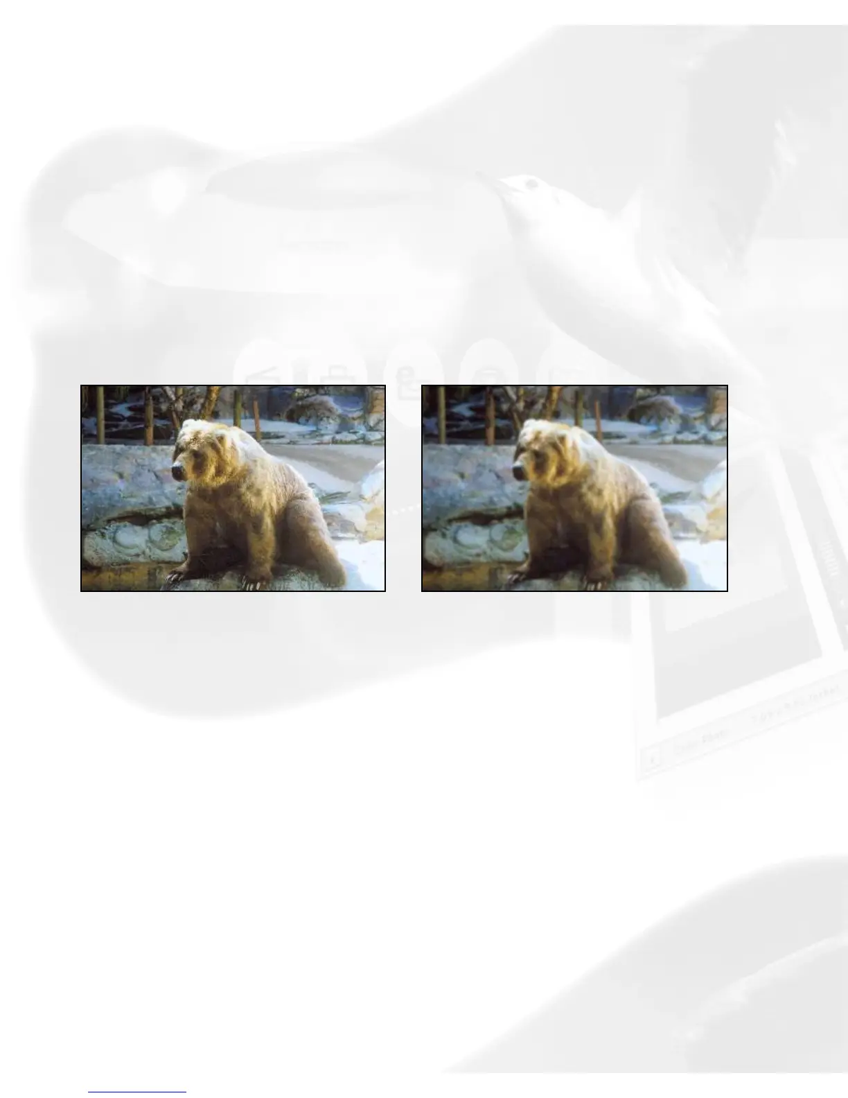 Page #69 background image