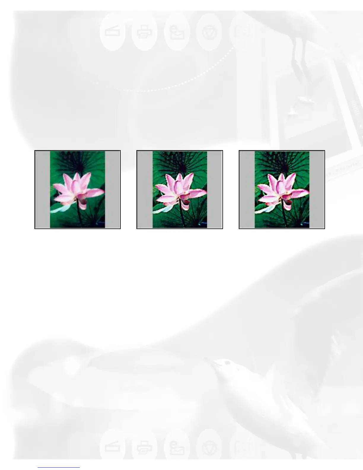 Page #73 background image