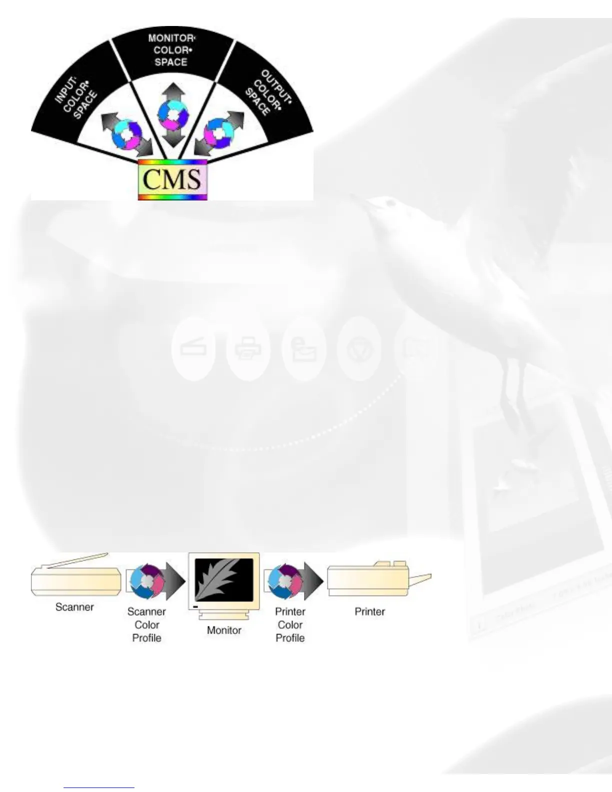 Page #89 background image