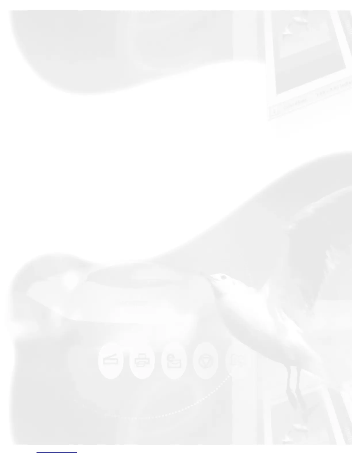 Page #113 background image