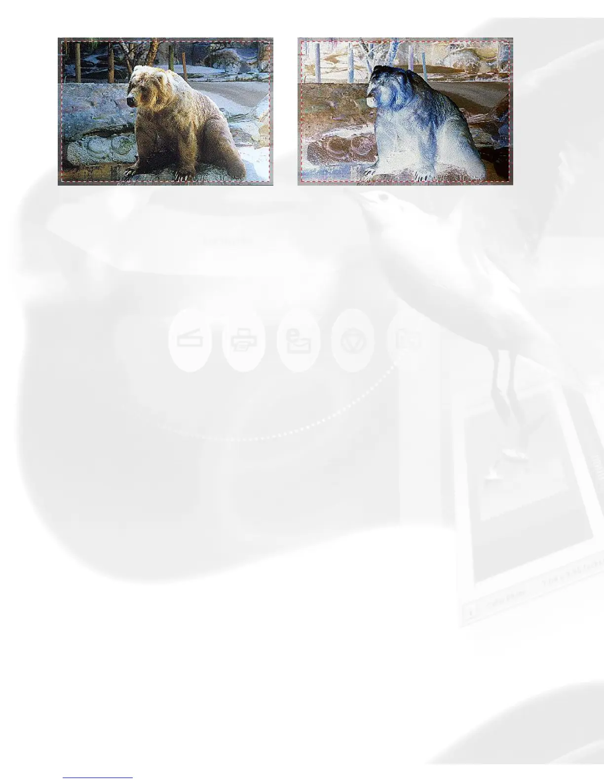 Page #119 background image
