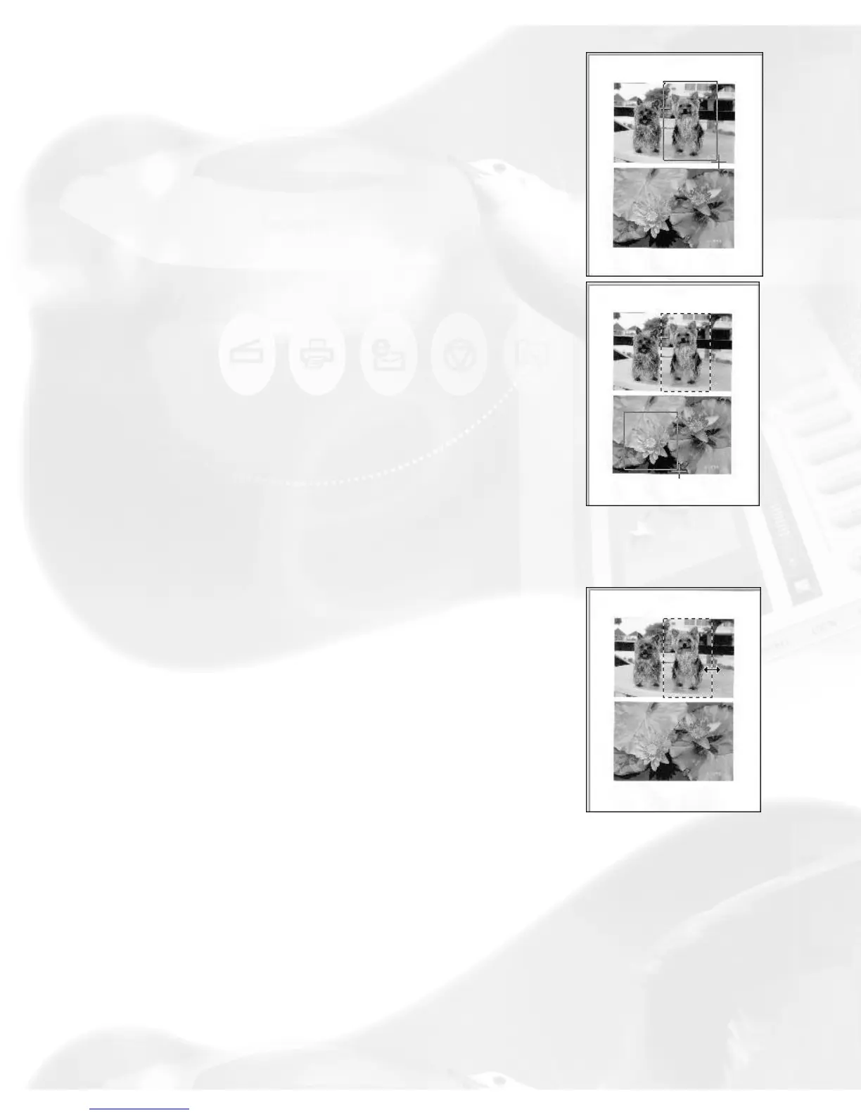 Page #10 background image