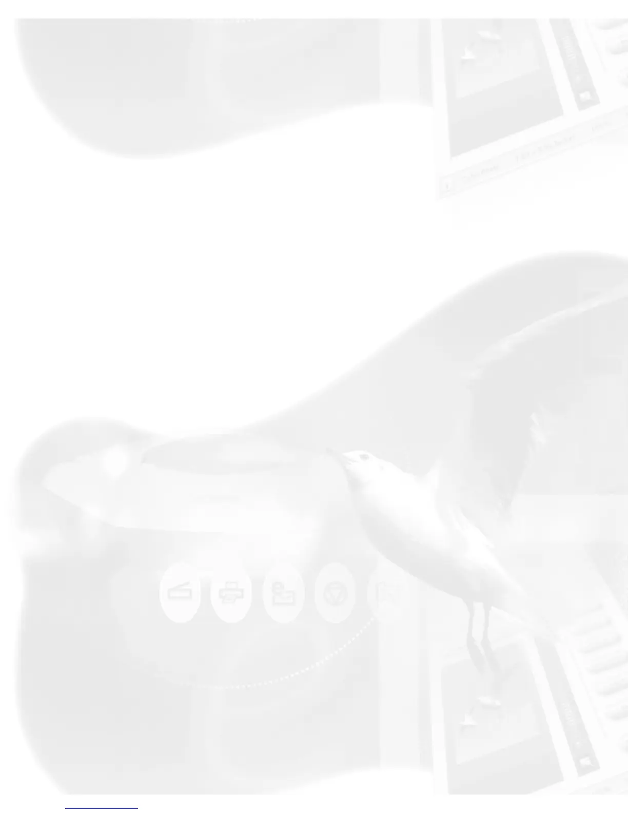Page #13 background image