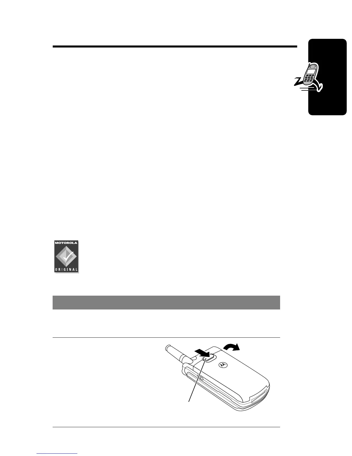 Page #19 background image