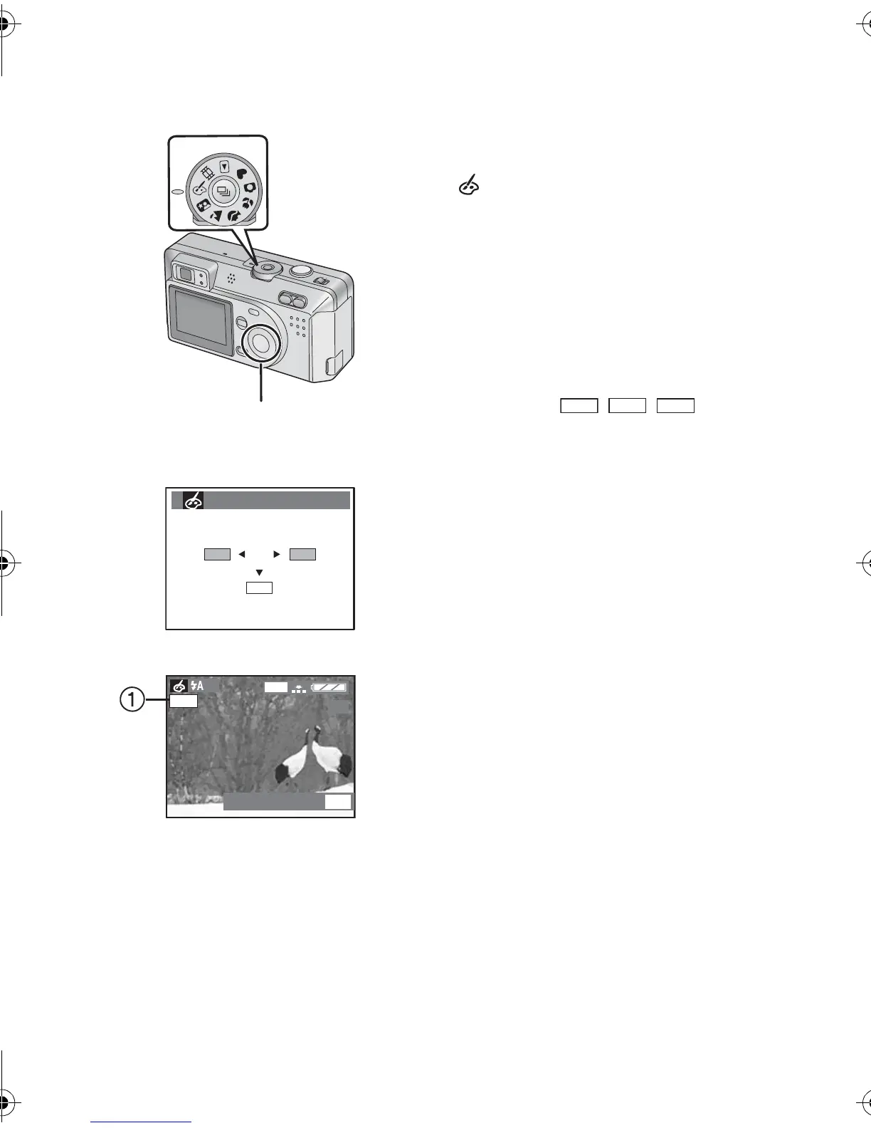 Page #43 background image