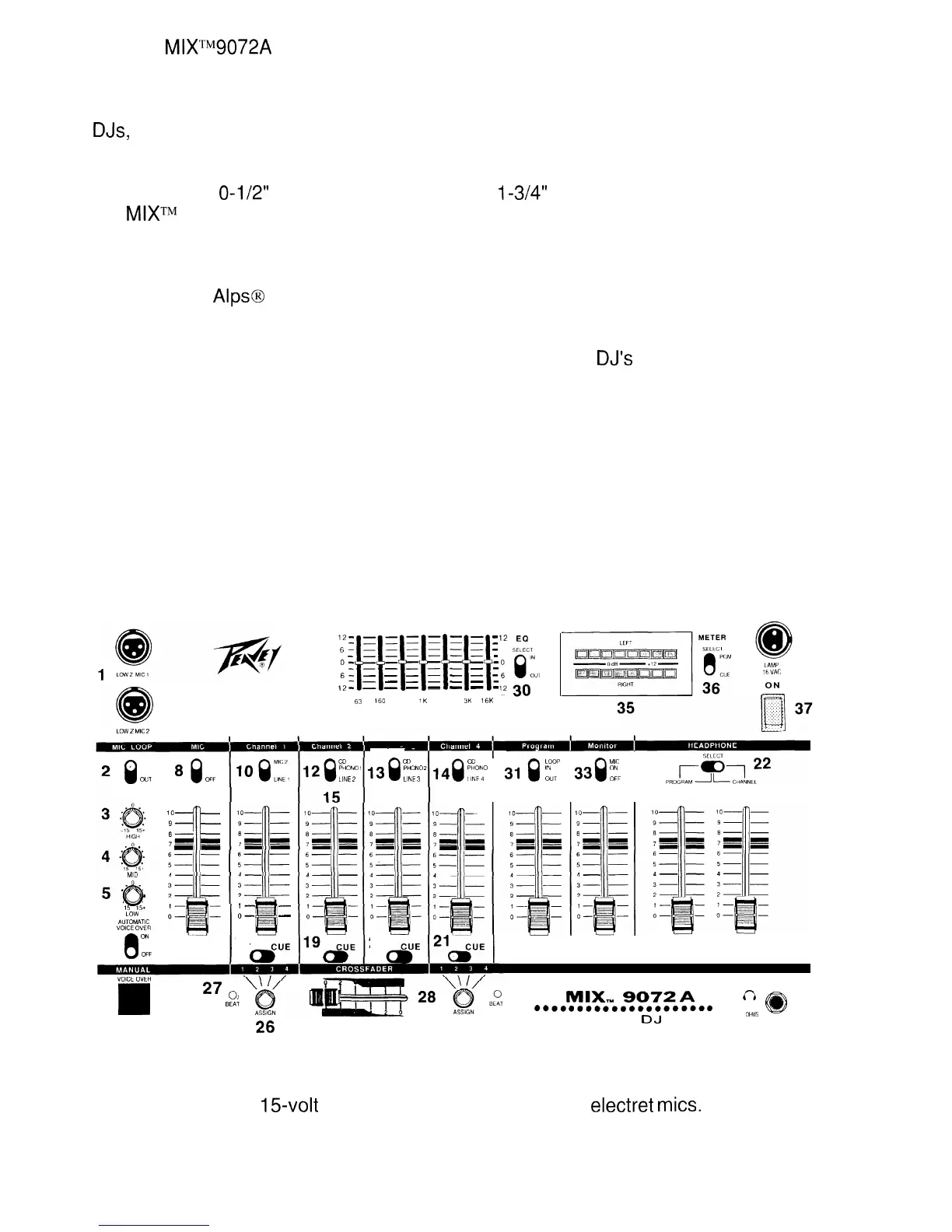 Page #4 background image